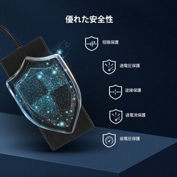 画像5: リン酸鉄リチウムイオンバッテリー専用充電器12V 20A (5)