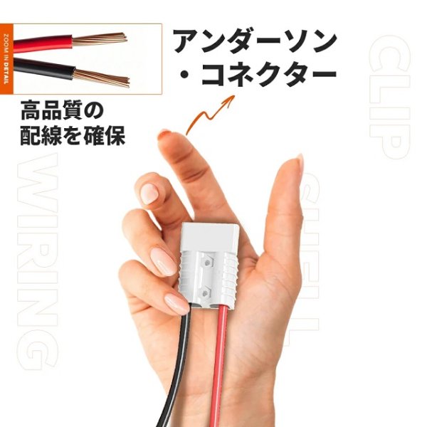 画像9: LiTime 12V40A バッテリー充電器 (9)