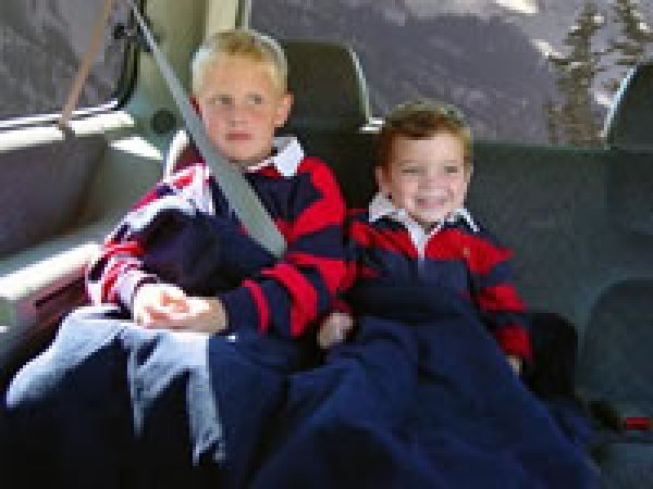 画像3: 電気ブランケット 12V仕様 (3)