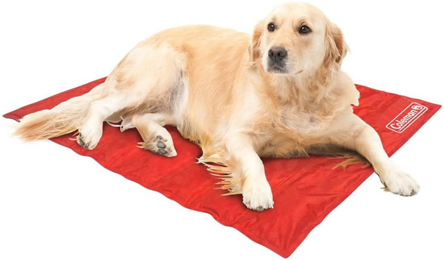 Coleman cheap dog beds